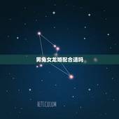 男兔女龙婚配合适吗，男兔和女龙属相合不合