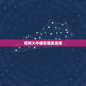招财大牛猫在哪里直播，大号“招财大牛猫”停更，这名博主存在哪些违规问题
