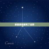 家里养花都死了运势，自从搬家到这边家里养花不久就死掉了，不知道是什么原
