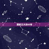 属蛇三大坎65年，属蛇55岁后走好运