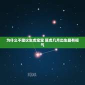 为什么不建议生虎宝宝 属虎几月出生最有福气