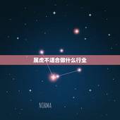 属虎不适合做什么行业，属虎的人适合去什么方向