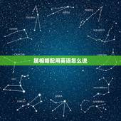 属相婚配用英语怎么说，属相婚配用英语怎么说