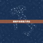 属相不合但是八字合，八字合不合跟属相有关系吗