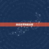 测试名字的契合度，哪个软件可以知道一个男生的名字和一个女生名字的默契度