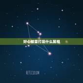 好心被雷打是什么属相，什么生肖是好心生肖？