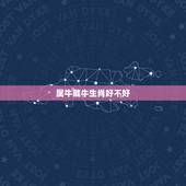 属牛戴牛生肖好不好，生肖为牛佩戴什么生肖好