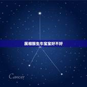 属相猴生牛宝宝好不好，男属牛女属猴婚姻合不合 属牛男和属猴女相配吗