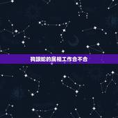 狗跟蛇的属相工作合不合，狗和蛇合不合