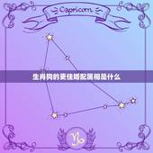 生肖狗的更佳婚配属相是什么，狗更佳配偶属相