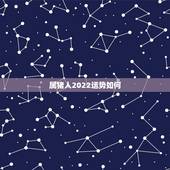 属猪人2022运势如何，属猪虎年运势2022年