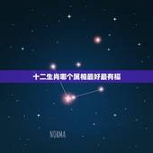十二生肖哪个属相最好最有福，最有福气的生肖都有哪些？