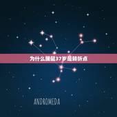 为什么属鼠37岁是转折点，转折是什么意思