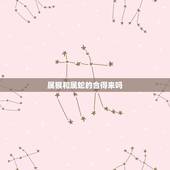 属猴和属蛇的合得来吗，2001年蛇和2004年猴配吗