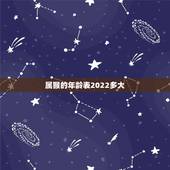 属猴的年龄表2022多大，2022生肖猴全年运势大全