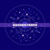 属鼠的和属兔子属相咋样，属鼠和属兔相冲不