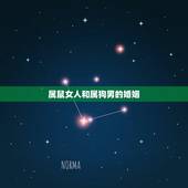 属鼠女人和属狗男的婚姻，94年狗2022 年必有一难