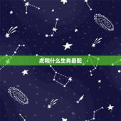 虎和什么生肖最配，虎与什么生肖最配 与什么相冲