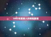 1995年属猪人的婚配属相，1995年女找什么配偶最适合