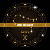 甲木2022年运势，2022年运势12生肖运势详解