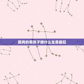 属狗的男孩子做什么生意最旺，属狗的做什么生意最好