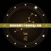 属狗的有哪几个属相的贵人帮助，属狗的人三合属相是哪些生肖