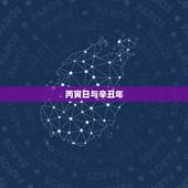 丙寅日与辛丑年，丙寅遇辛丑流年被合入财库