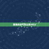 属兔的运气怎么样2022，87年属兔34岁有一劫2022