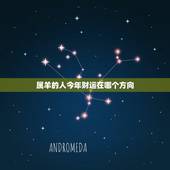 属羊的人今年财运在哪个方向，属羊的人适合主哪个方位好