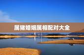 属猪婚姻属相配对大全，属猪的更佳婚姻配对