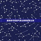属羊的今年运气怎么样财运怎么样，我今年属羊的今年我的运气怎么样？