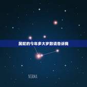 属蛇的今年多大岁数请告诉我，属鸡今年多大岁数
