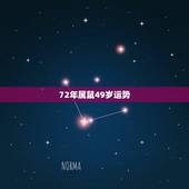 72年属鼠49岁运势，72年生肖鼠2022年命运