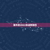 属牛的2022年运势如何，85属牛人最旺的年龄