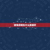 猪兔结婚生什么属相好，属兔子的与属猪的生个什么属相的孩子好