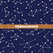 炉中火命86虎取名字(如何为你的宠物起一个独特的名字)