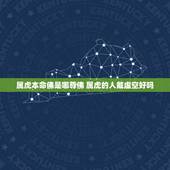 属虎本命佛是哪尊佛 属虎的人戴虚空好吗