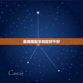 属相婚配羊和蛇好不好，好蛇和羊属相在一起好吗