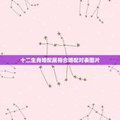 十二生肖婚配属相合婚配对表图片，生肖相生相克相冲表