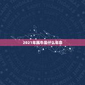 2021年属牛是什么年命，2021年是什么牛五行属什么