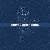 属猪的双子男和什么属相最配，请问生肖猪与什么生肖相克？