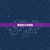 属鼠的三合属相，属鼠的三合和六个合生肖