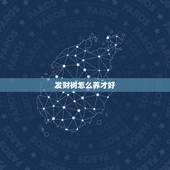 发财树怎么养才好，发财树怎么养才能枝繁叶茂而且有朝气？
