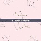 十二生肖年月日时详解，年月日时 对应的生肖