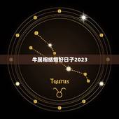 牛属相结婚好日子2023，属牛大利月份具体那天结婚好日子