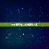 孙字图片十二属相图片大全，起名字大全女孩