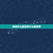 属相什么最实在什么最狡猾，十二生肖最狡猾的生肖