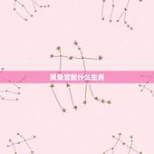属兔宜配什么生肖，兔宜配忌配什么