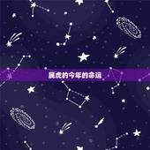 属虎的今年的命运，属虎出生月份的命运