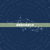 属猴的今年是几岁，属鼠2022 年运势及运程